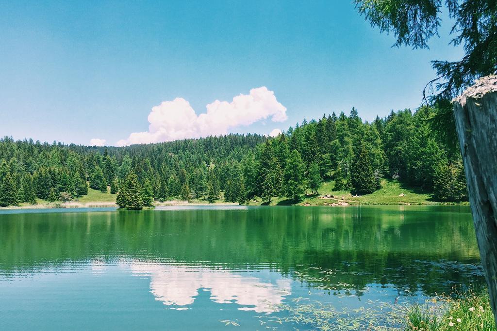 Berggasthof Pension Pfitscher Unsere Liebe Frau im Walde Buitenkant foto